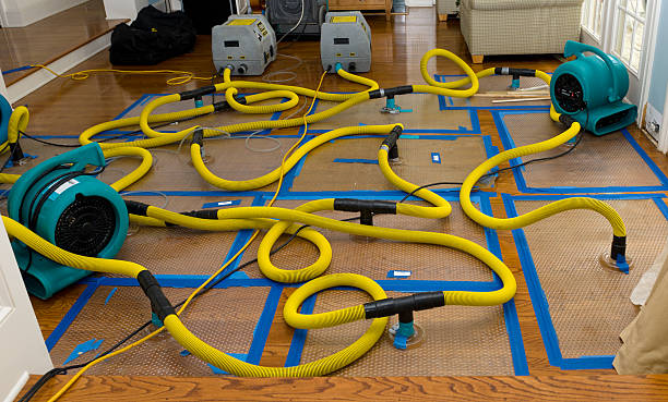 Professional Basement Flood Cleanup technician working in White Plains, NC