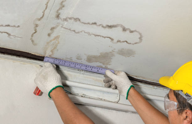 Affordable Water Damage Repair solutions in White Plains, NC